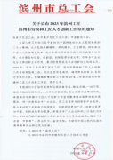 喜報(bào)！公司1個(gè)集體和1名個(gè)人榮獲市級(jí)榮譽(yù)